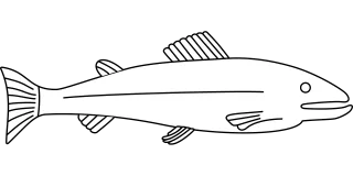 Fish Marine life Water Stickdatei