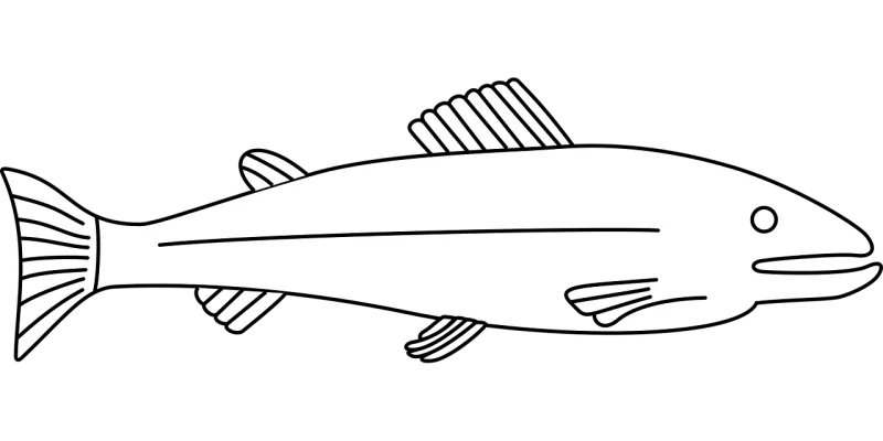 Fish Marine life Water Stickdatei – Sport