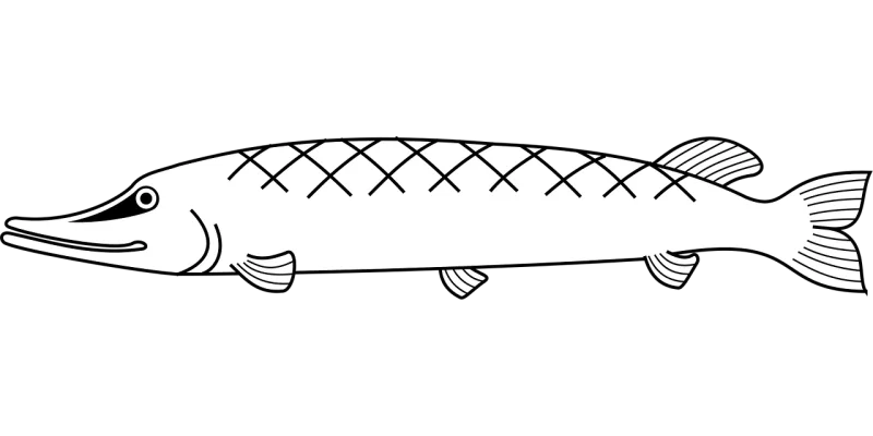 Fishes Marine life Underwater Stickdatei – Sport