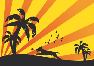 Dog Animal Summer Stickdatei