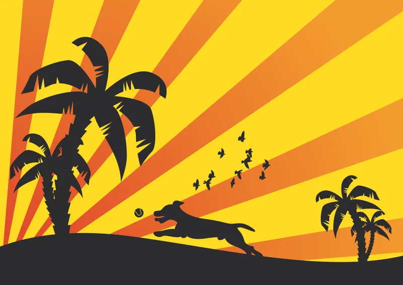 Dog Animal Summer Stickdatei – Tiere