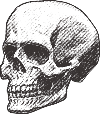 Skull Pirate Deadly Stickdatei