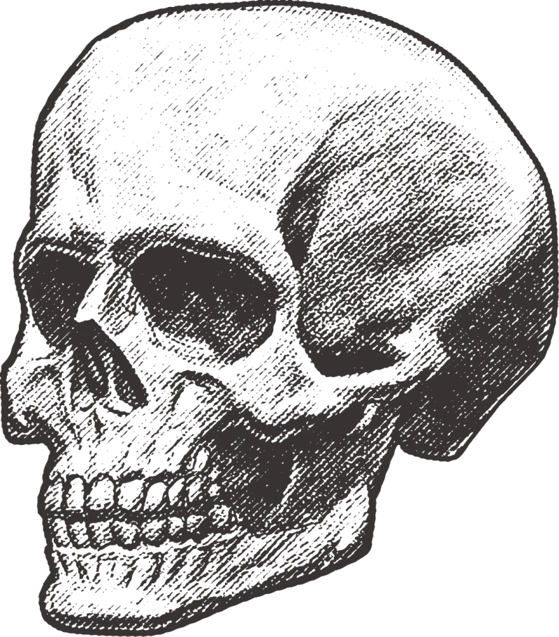 Skull Pirate Deadly Stickdatei – Kinder