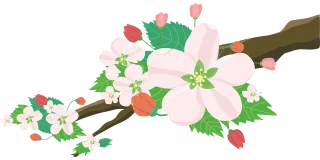 Flowers Apple Blossoms Stickdatei