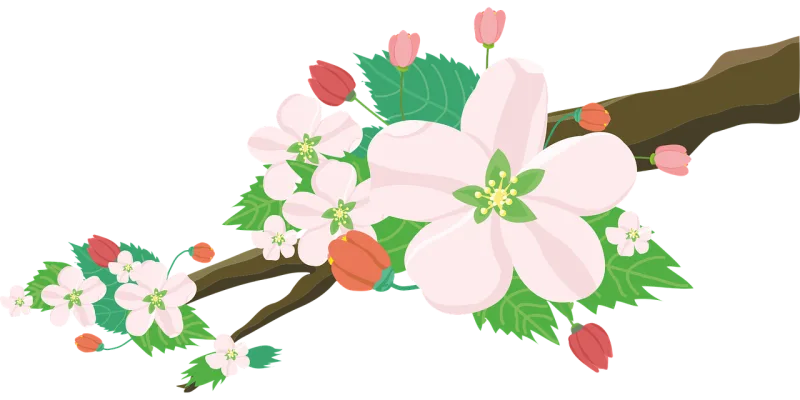 Flowers Apple Blossoms Stickdatei – Essen & Trinken