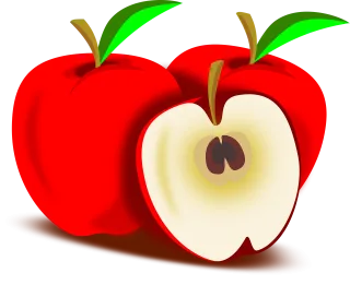 Apple Fruit Apples Stickdatei