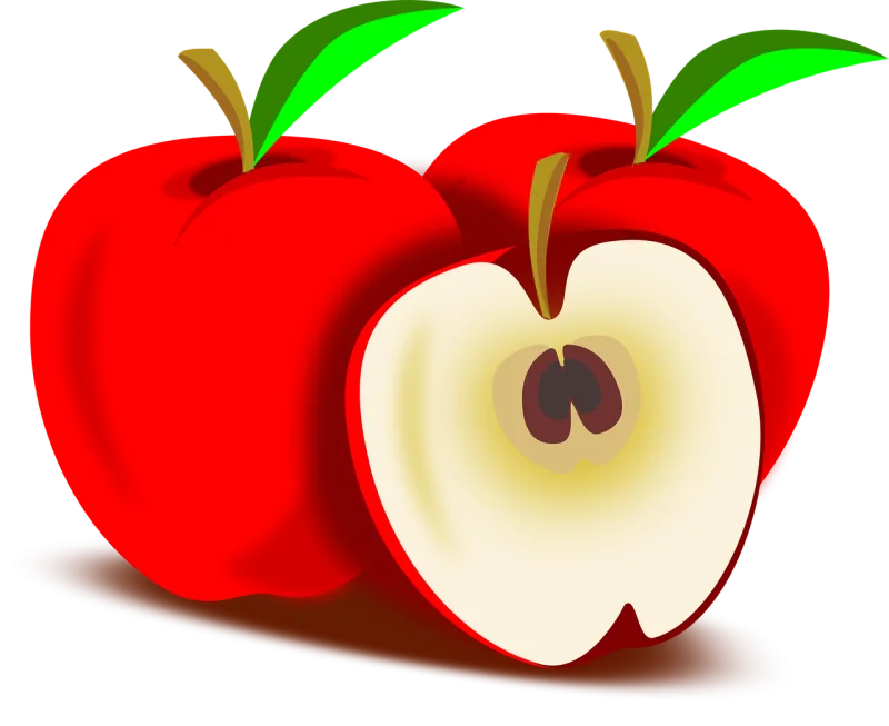 Apple Fruit Apples Stickdatei – Essen & Trinken