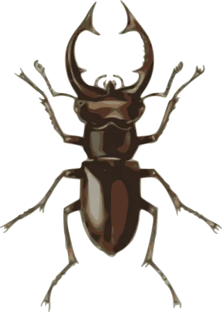 Dorbeetle Insect Beetle Stickdatei