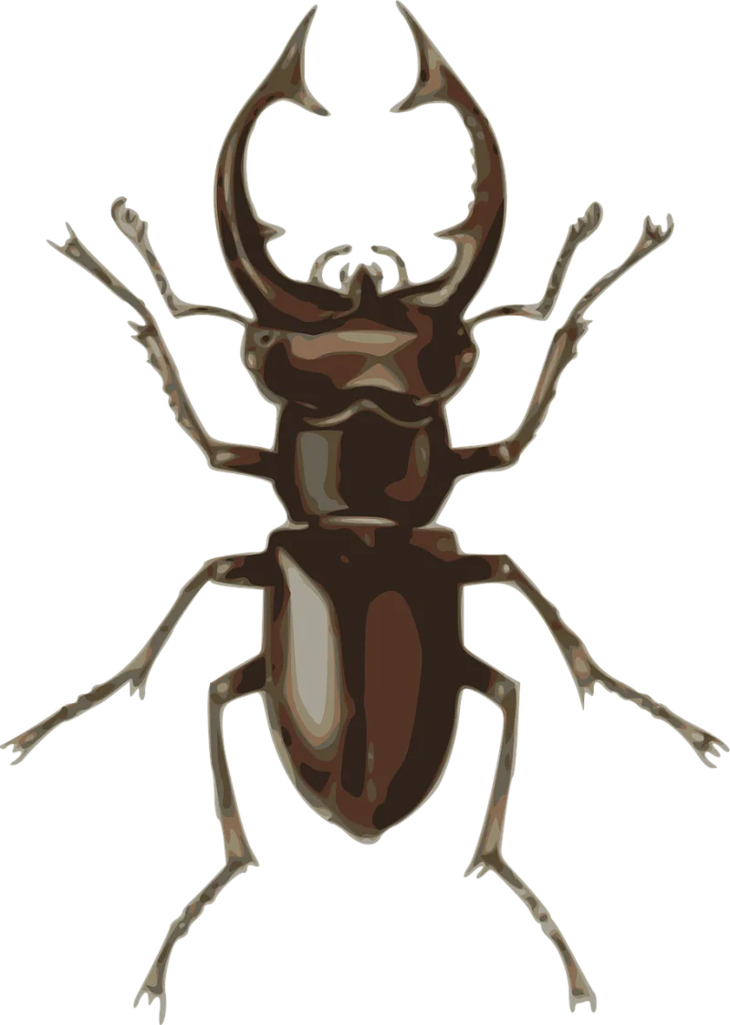 Dorbeetle Insect Beetle Stickdatei – Tiere