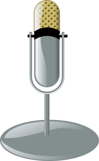 Microphone Performance Recording Stickdatei