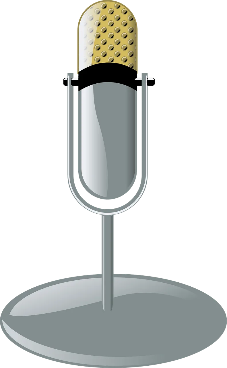 Microphone Performance Recording Stickdatei – Musik