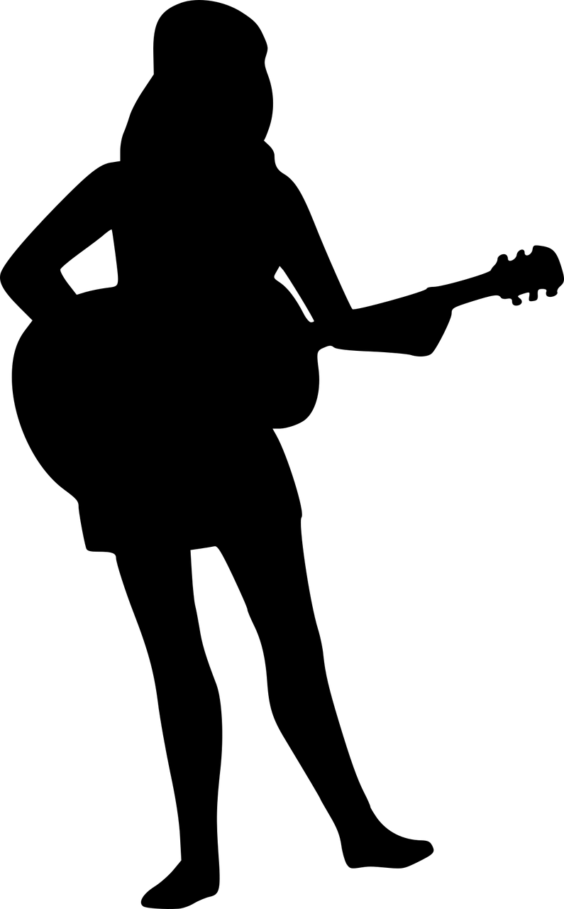 Silhouette Guitar Guitarist Stickdatei – Musik