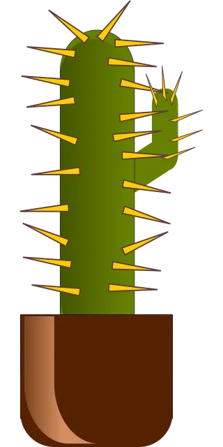 Cactus Plant Potted Stickdatei