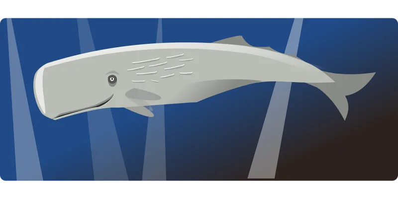 Whale Sea Mammal Stickdatei – Sport