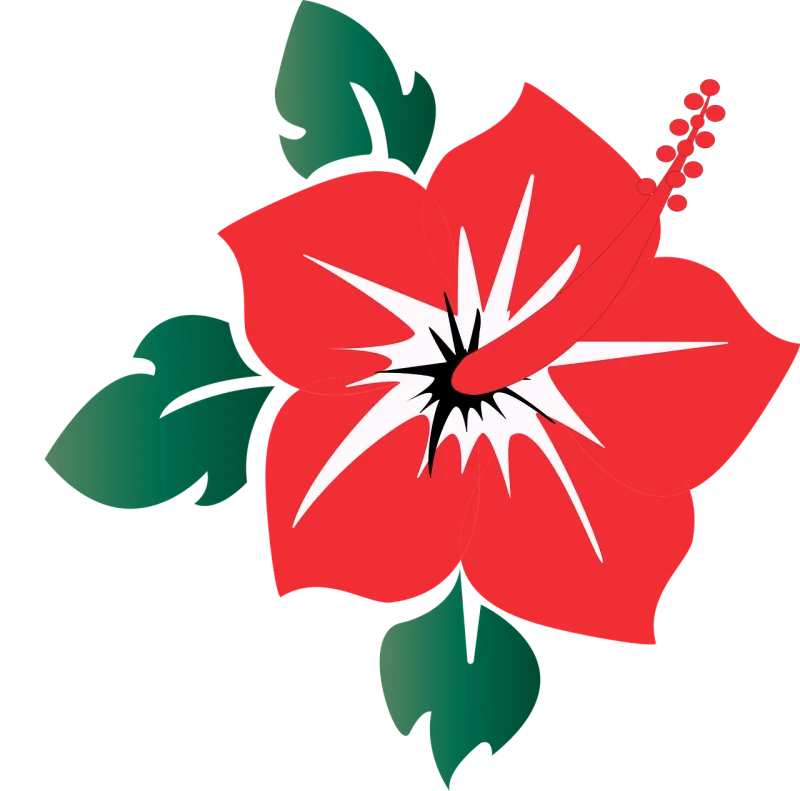 Hibiscus Flower Bloom Stickdatei – Blumen