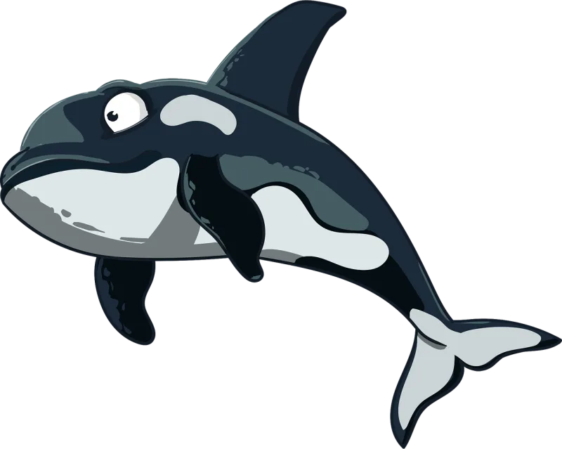 Orca Kit Dolphin Stickdatei – Tiere