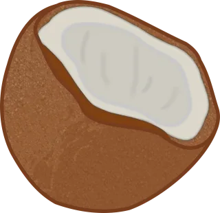 Coconut Half Opened Stickdatei