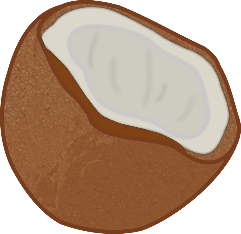 Coconut Half Opened Stickdatei – Natur