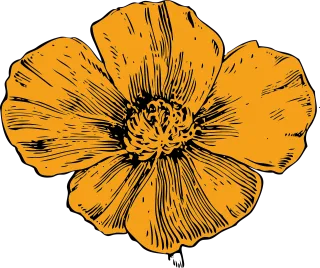 Yellow Flower Poppy Stickdatei