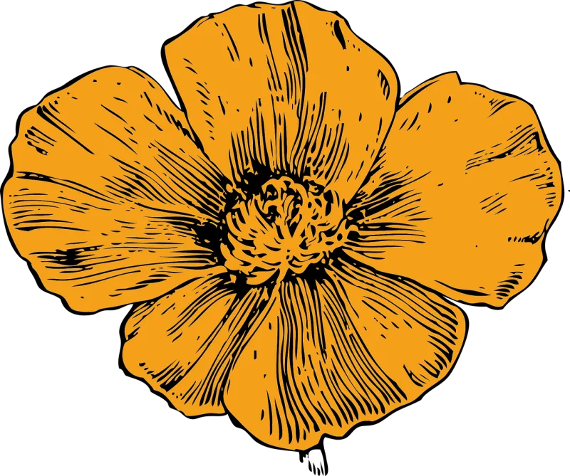 Yellow Flower Poppy Stickdatei – Blumen