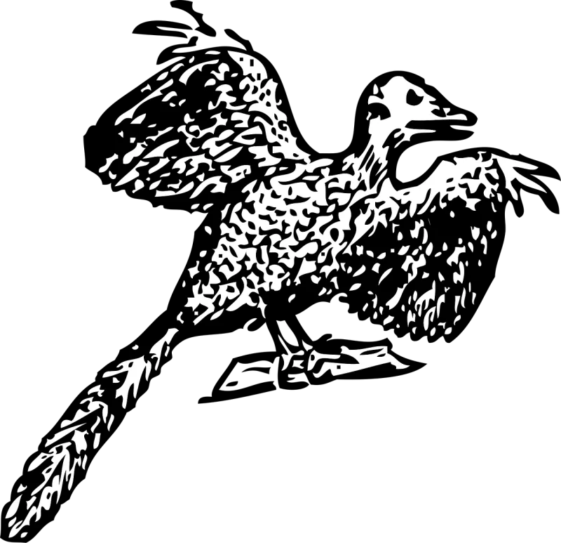 Archaeopteryx Bird Prehistoric Stickdatei – Kinder
