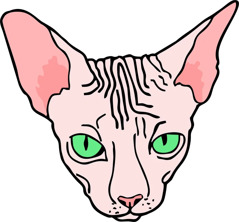 Angry Sphynx Sphinx Stickdatei – Tiere