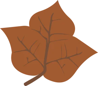 Graphic Leaf Leaves Stickdatei