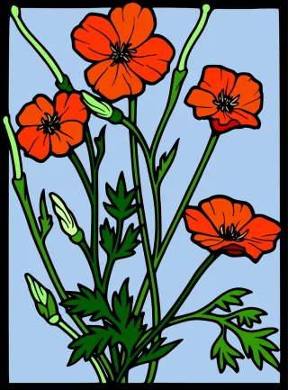 Poppy Flowers Decorative Stickdatei