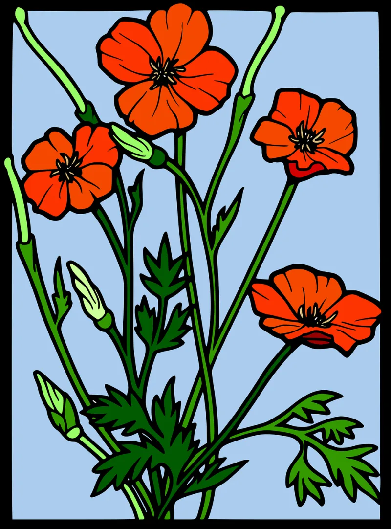 Poppy Flowers Decorative Stickdatei – Blumen
