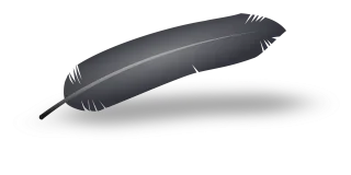 Feather Crow Raven Stickdatei