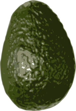 Avocado Fruit Tropical Stickdatei