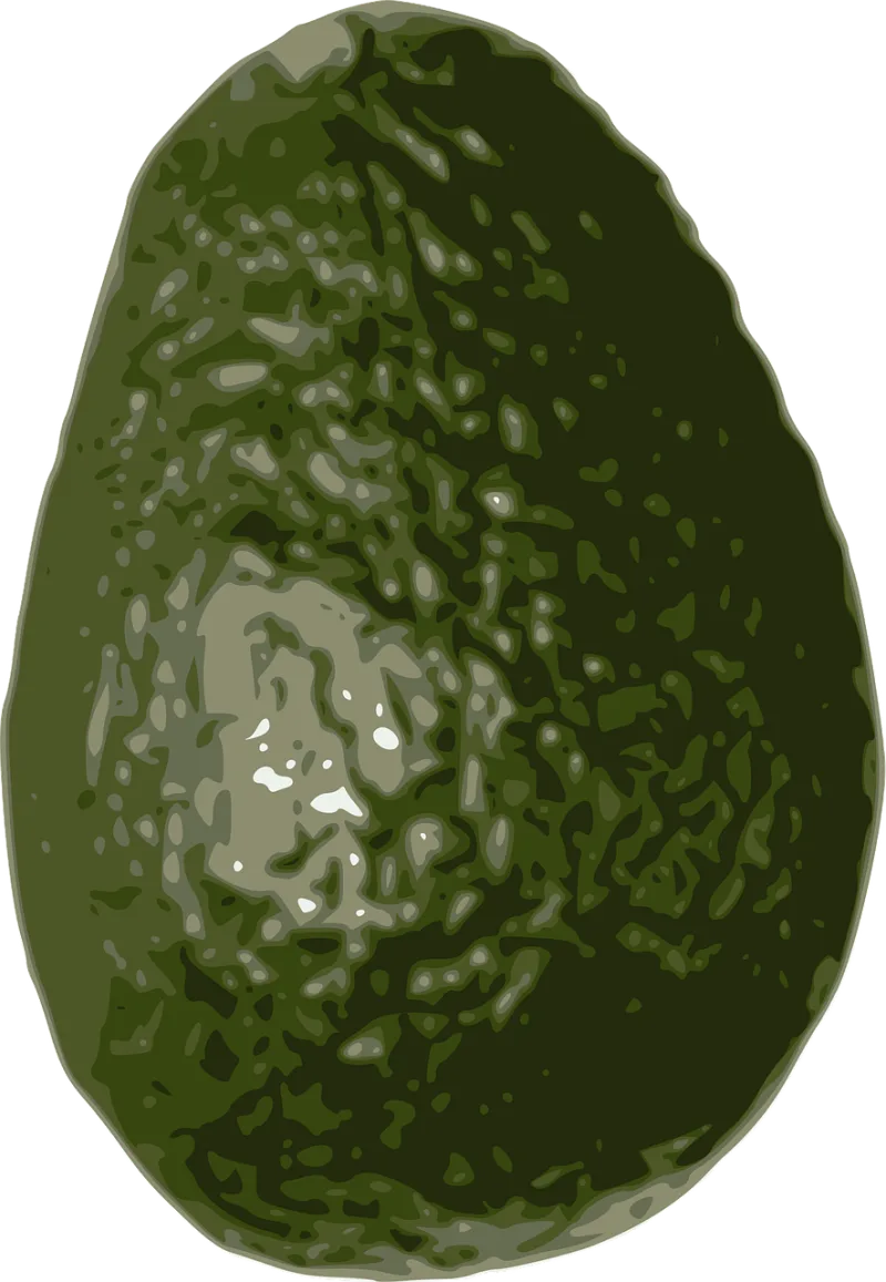 Avocado Fruit Tropical Stickdatei – Essen & Trinken