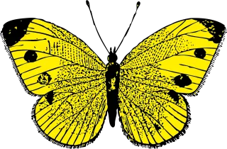Butterfly Monarch Insect Stickdatei