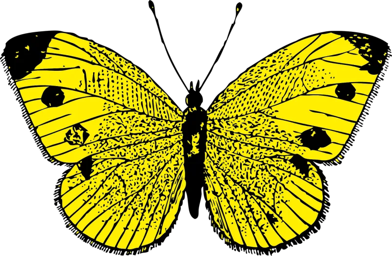 Butterfly Monarch Insect Stickdatei – Tiere