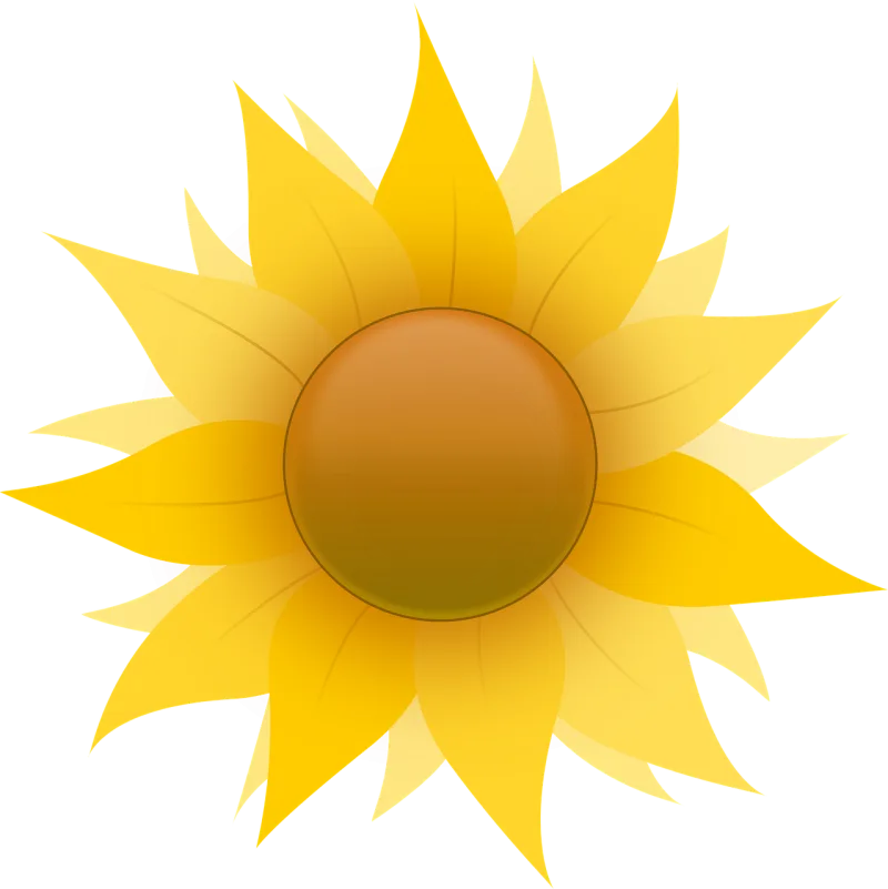 Sunflower Yellow Blossom Stickdatei – Blumen