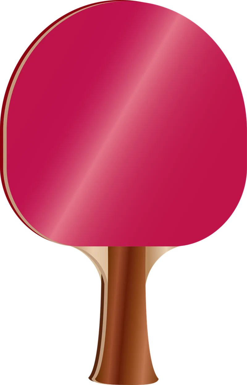 Pingpongpaddle Pingpong Paddle Stickdatei – Sport