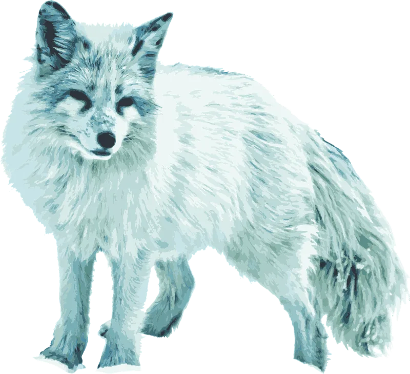 Arctic fox White fox Vixen Stickdatei – Tiere
