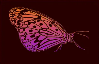 Butterfly Bug Insect Stickdatei