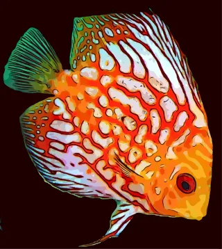 Fish Tropical Ocean Stickdatei