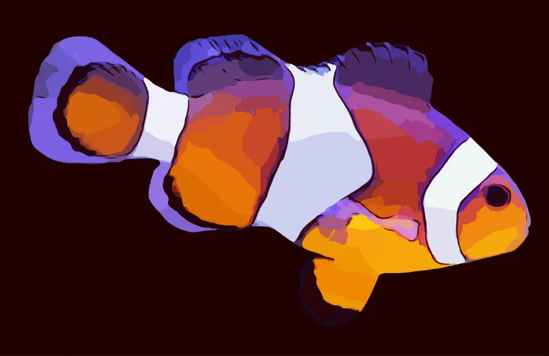 Fish Clown fish Nemo Stickdatei – Tiere