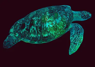 Sea turtle Turtle Underwater Stickdatei