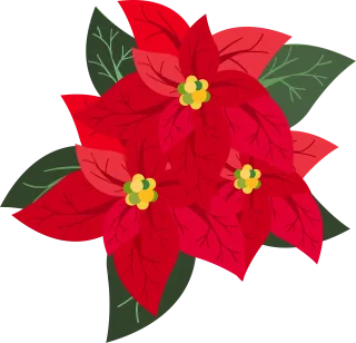 Graphic Nature Poinsettia Stickdatei
