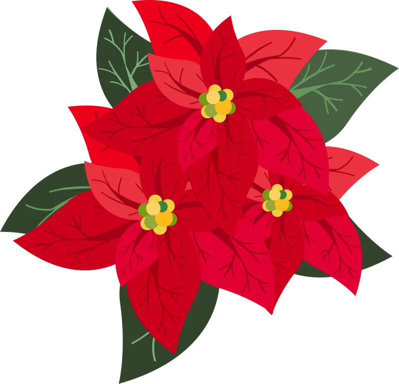 Graphic Nature Poinsettia Stickdatei – Weihnachten