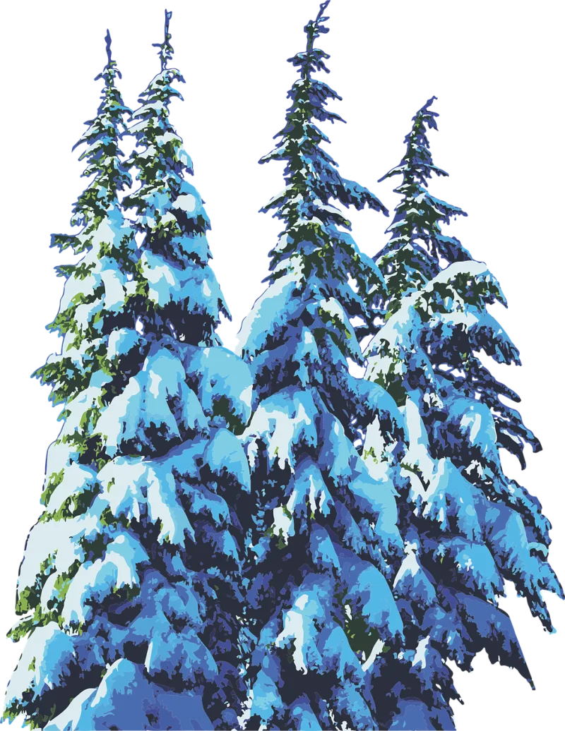 Pine trees Snow Winter Stickdatei – Weihnachten