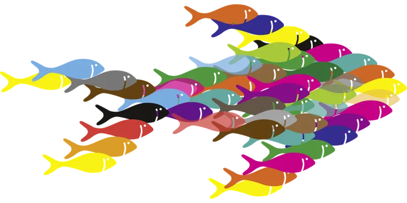 Fish Swarm Together Stickdatei – Tiere