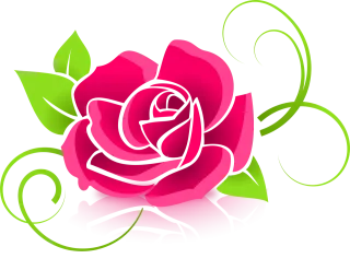 Rose Flower Petals Stickdatei