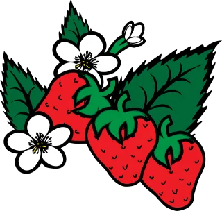 Strawberry Flower wallpaper Fragaria Stickdatei
