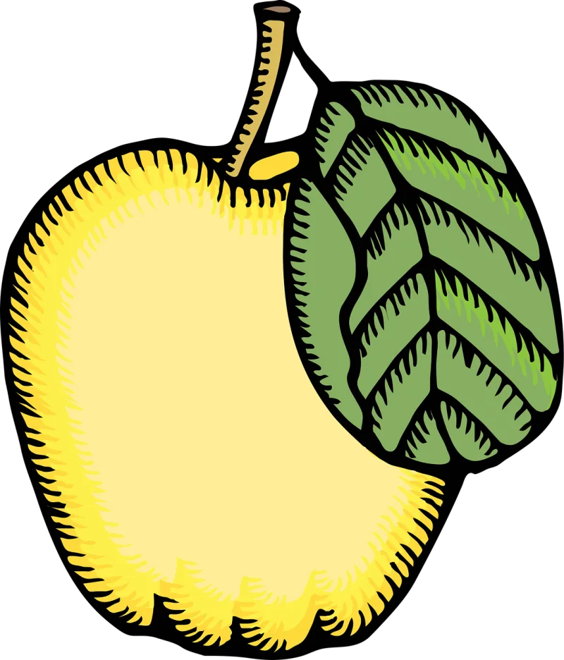 Apple Yellow Fruit Stickdatei – Essen & Trinken