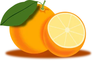 Orange Fruit Food Stickdatei