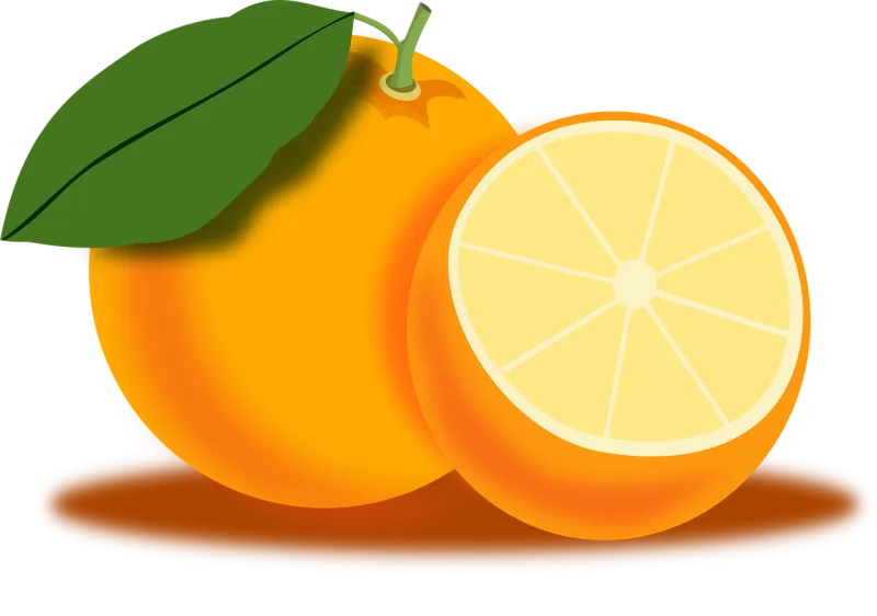 Orange Fruit Food Stickdatei – Essen & Trinken